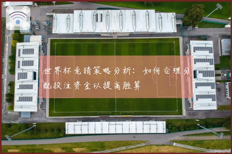 世界杯竞猜策略分析：如何合理分配投注资金以提高胜算