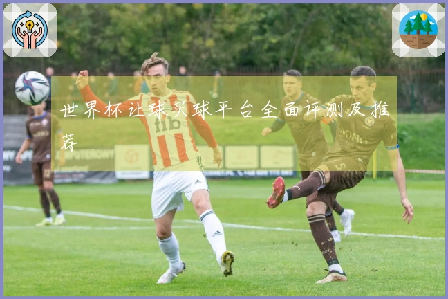 世界杯让球买球平台全面评测及推荐