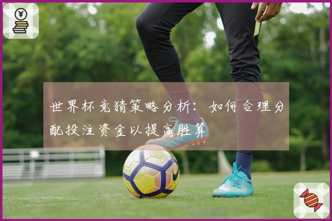 世界杯竞猜策略分析：如何合理分配投注资金以提高胜算