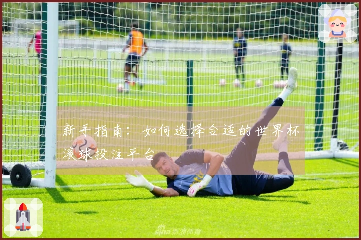 新手指南：如何选择合适的世界杯滚球投注平台