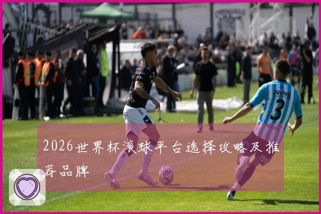 2026世界杯滚球平台选择攻略及推荐品牌
