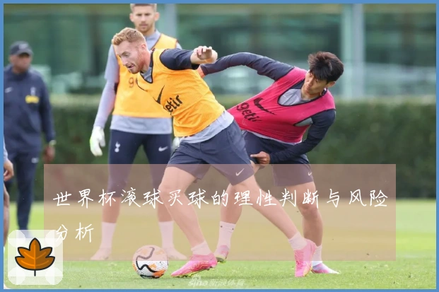 世界杯滚球买球的理性判断与风险分析