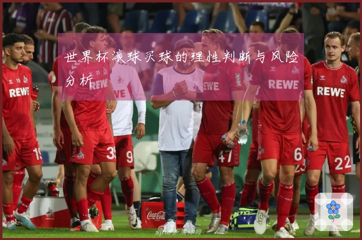 世界杯滚球买球的理性判断与风险分析