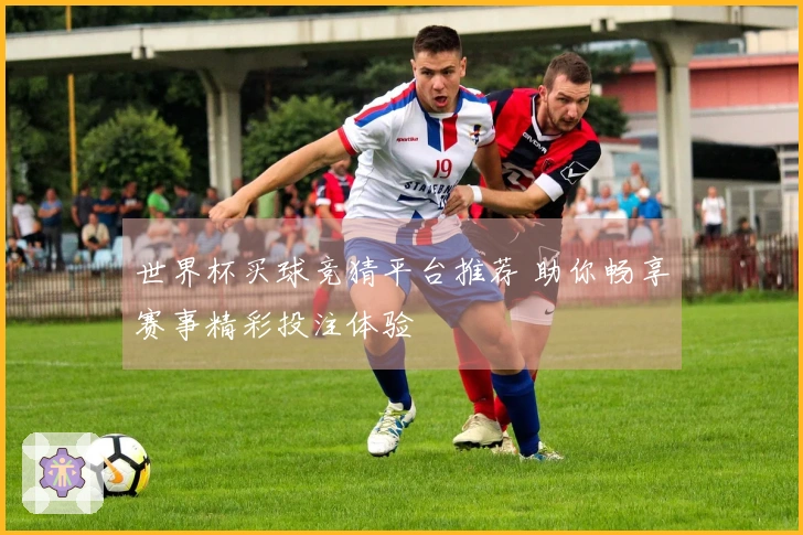 世界杯买球竞猜平台推荐 助你畅享赛事精彩投注体验