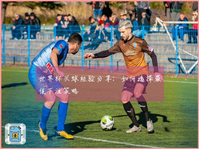 世界杯买球经验分享：如何选择最佳下注策略