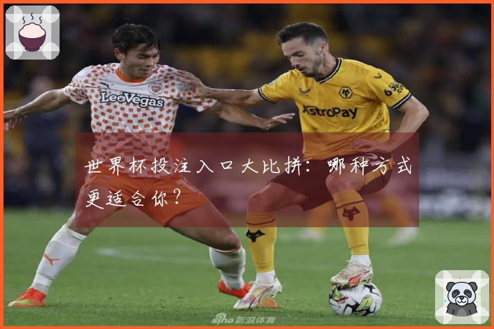 世界杯投注入口大比拼：哪种方式更适合你？